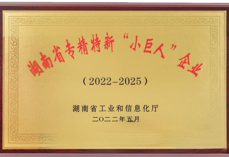 荣誉证书 小巨人.png